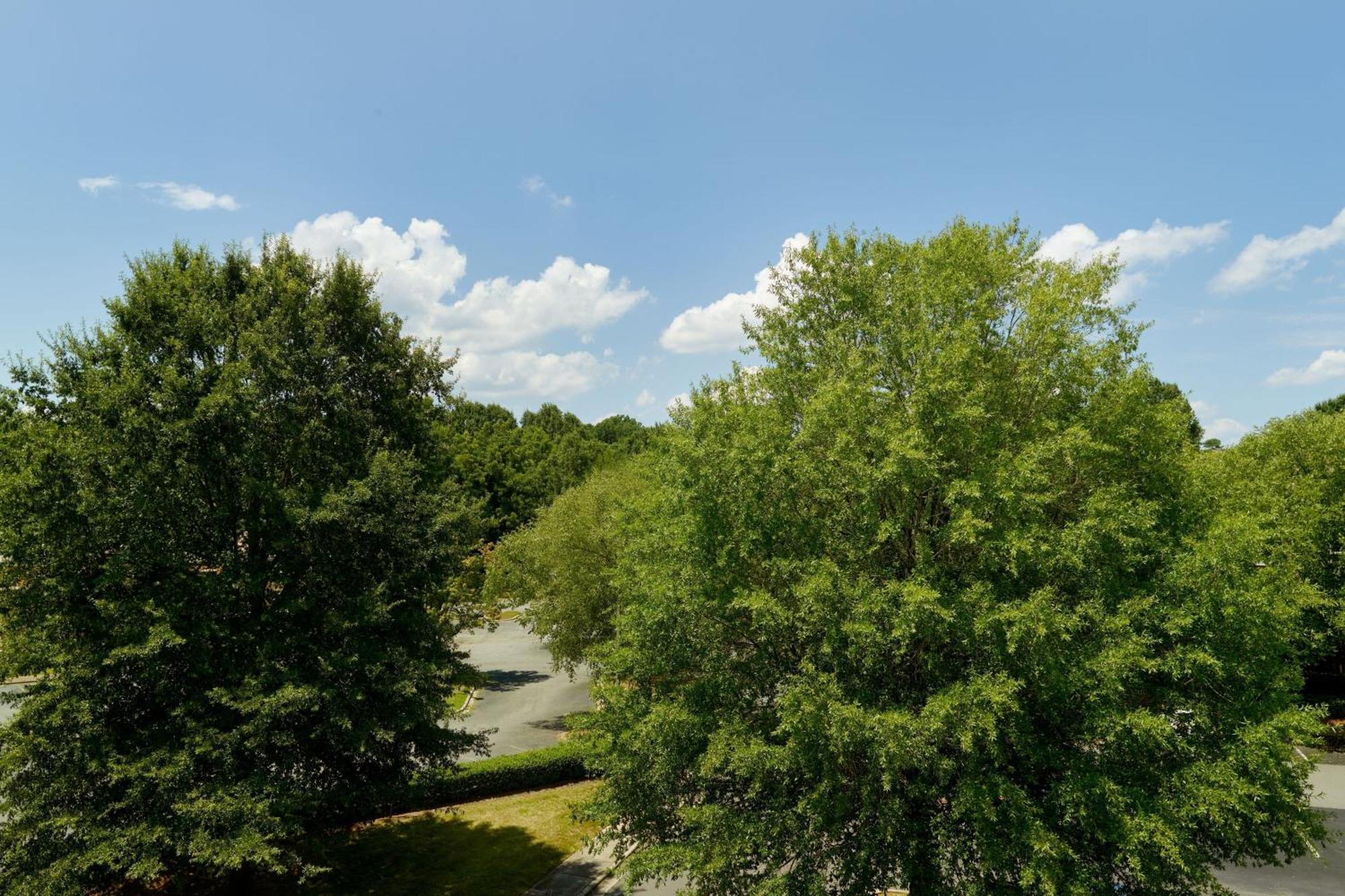 Springhill Suites Charlotte University Research Park Екстер'єр фото